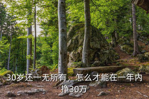 30歲還一無所有，怎么才能在一年內(nèi)掙30萬