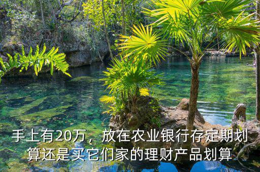 手上有20萬，放在農(nóng)業(yè)銀行存定期劃算還是買它們家的理財產(chǎn)品劃算