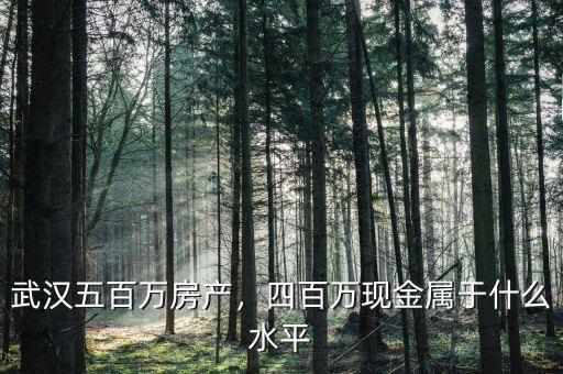 武漢五百萬房產，四百萬現(xiàn)金屬于什么水平