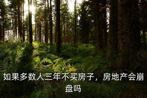 房地產崩盤什么樣,房地產會崩盤嗎
