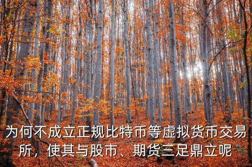 為何不成立正規(guī)比特幣等虛擬貨幣交易所，使其與股市、期貨三足鼎立呢