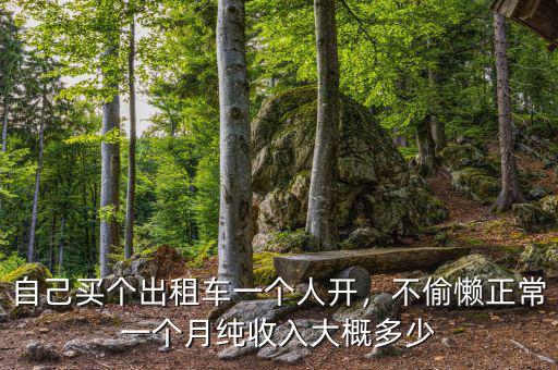 自己買個(gè)出租車一個(gè)人開(kāi)，不偷懶正常一個(gè)月純收入大概多少