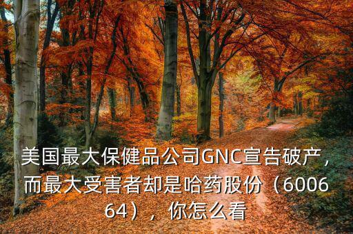 美國(guó)最大保健品公司GNC宣告破產(chǎn)，而最大受害者卻是哈藥股份（600664），你怎么看
