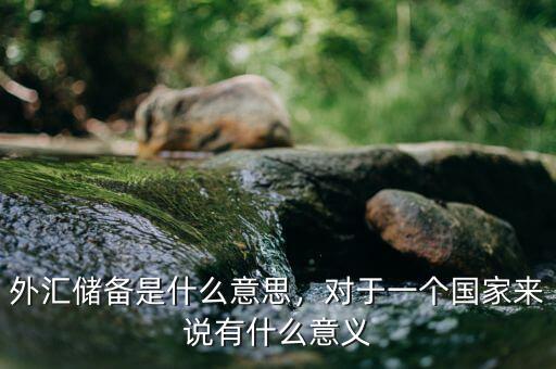 外匯儲備是什么意思，對于一個國家來說有什么意義