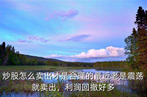 炒股怎么賣出才是合理的最近老是震蕩就賣出，利潤(rùn)回撤好多