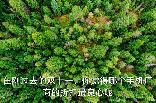 在剛過去的雙十一，你覺得哪個(gè)手機(jī)廠商的折扣最良心呢