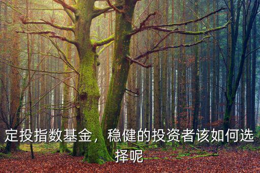 定投指數(shù)基金，穩(wěn)健的投資者該如何選擇呢