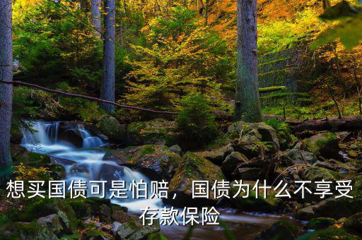 想買(mǎi)國(guó)債可是怕賠，國(guó)債為什么不享受存款保險(xiǎn)