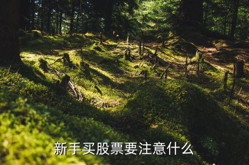 新人買股應注意什么,新人要注意什么