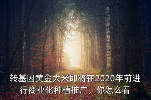 轉(zhuǎn)基因黃金大米即將在2020年前進行商業(yè)化種植推廣，你怎么看