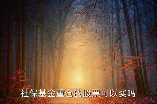 社保買了獐子島多少股票,社?；鹬貍}(cāng)的股票可以買嗎