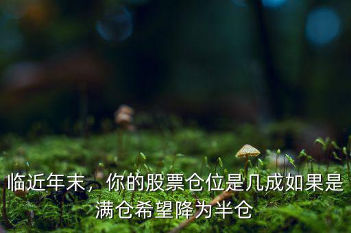 臨近年末，你的股票倉位是幾成如果是滿倉希望降為半倉