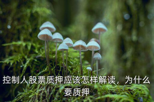 為什么要股權質押,為什么要股權質押