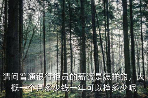 請問普通銀行柜員的薪資是怎樣的，大概一個月多少錢一年可以掙多少呢