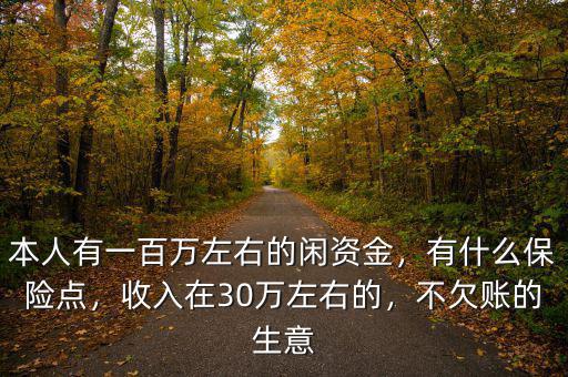 本人有一百萬左右的閑資金，有什么保險點，收入在30萬左右的，不欠賬的生意