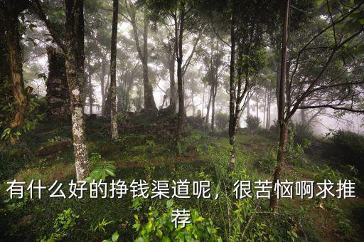 有什么好的掙錢渠道呢，很苦惱啊求推薦