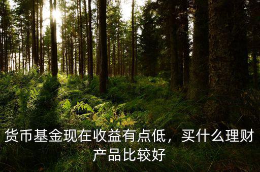 貨幣基金現(xiàn)在收益有點低，買什么理財產品比較好