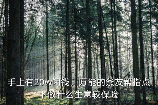 手上有20w閑錢，萬(wàn)能的條友幫指點(diǎn)下做什么生意較保險(xiǎn)