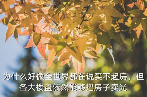 為什么好像全世界都在說(shuō)買(mǎi)不起房，但各大樓盤(pán)依然能夠把房子賣(mài)光