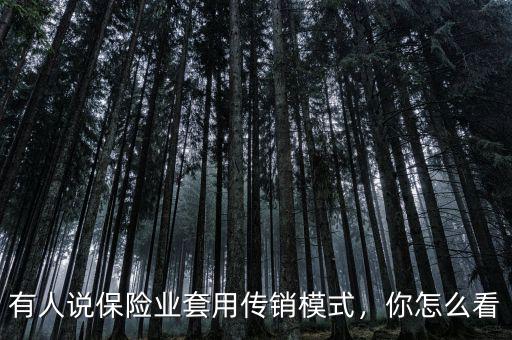 有人說(shuō)保險(xiǎn)業(yè)套用傳銷模式，你怎么看