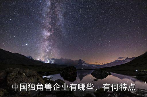 中國獨(dú)角獸企業(yè)有哪些，有何特點(diǎn)