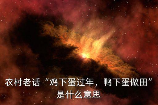 農(nóng)村老話“雞下蛋過年，鴨下蛋做田”是什么意思
