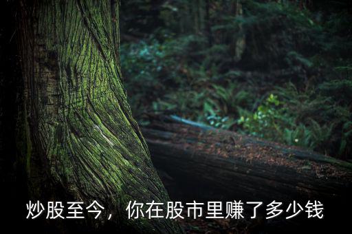 炒股至今，你在股市里賺了多少錢
