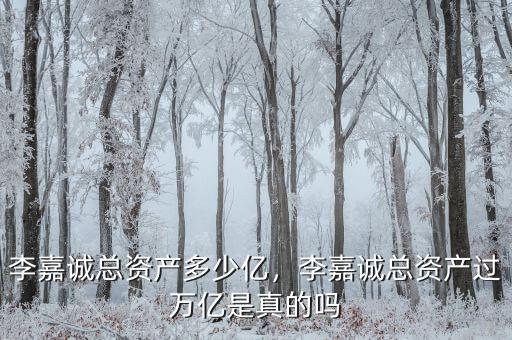 李嘉誠總資產多少億，李嘉誠總資產過萬億是真的嗎