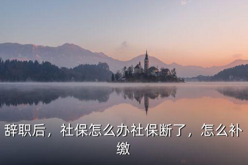 辭職后，社保怎么辦社保斷了，怎么補(bǔ)繳