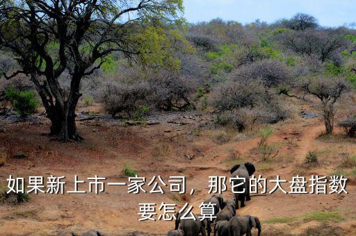 如果新上市一家公司，那它的大盤指數(shù)要怎么算