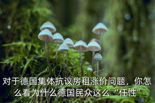 對(duì)于德國(guó)集體抗議房租漲價(jià)問題，你怎么看為什么德國(guó)民眾這么“任性”