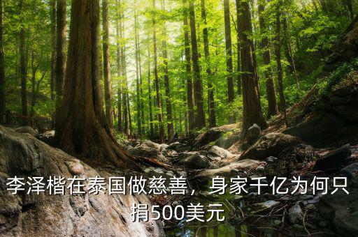 李澤楷在泰國做慈善，身家千億為何只捐500美元