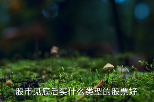 股市見(jiàn)底后買什么類型的股票好