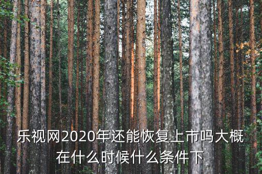 樂視網什么時候上市的,持有的樂視網股票怎么辦