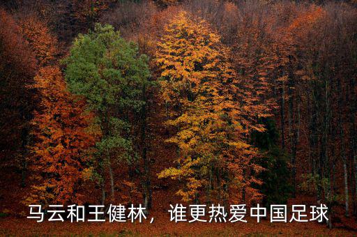 馬云和王健林，誰(shuí)更熱愛(ài)中國(guó)足球
