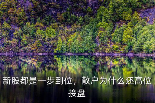 新股都是一步到位，散戶為什么還高位接盤