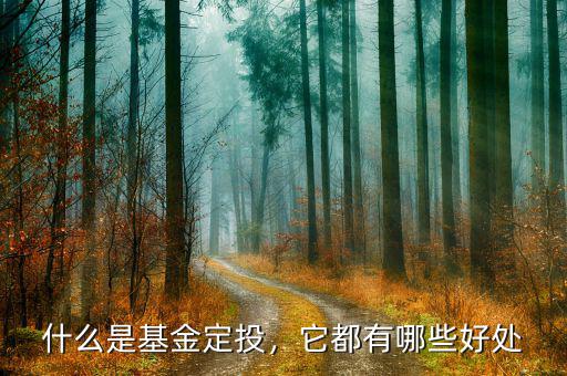 什么是基金定投，它都有哪些好處