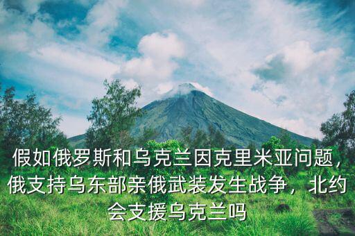 假如俄羅斯和烏克蘭因克里米亞問題，俄支持烏東部親俄武裝發(fā)生戰(zhàn)爭，北約會支援烏克蘭嗎