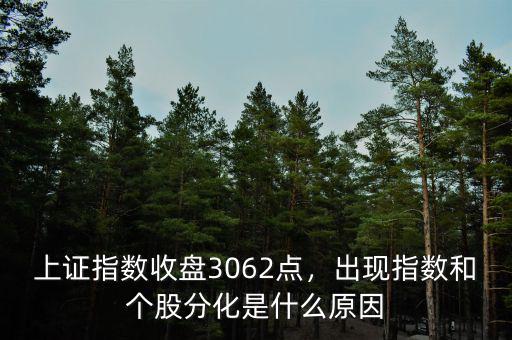 上證指數(shù)收盤3062點，出現(xiàn)指數(shù)和個股分化是什么原因