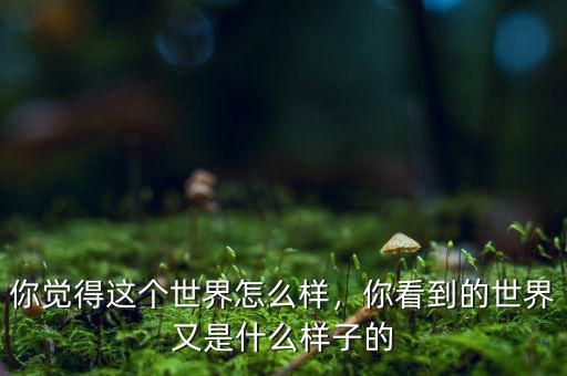 你覺得這個(gè)世界怎么樣，你看到的世界又是什么樣子的