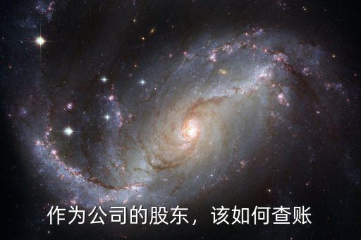 作為公司的股東，該如何查賬