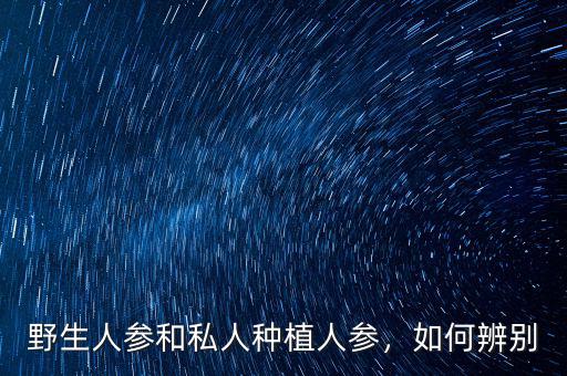 野生人參和私人種植人參，如何辨別