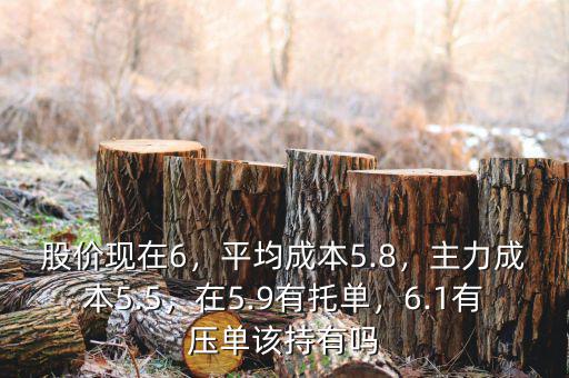 股價(jià)現(xiàn)在6，平均成本5.8，主力成本5.5，在5.9有托單，6.1有壓?jiǎn)卧摮钟袉? class=
