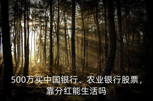 500萬買中國銀行、農(nóng)業(yè)銀行股票，靠分紅能生活嗎