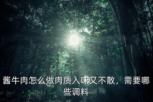醬牛肉怎么做肉質(zhì)入味又不散，需要哪些調(diào)料