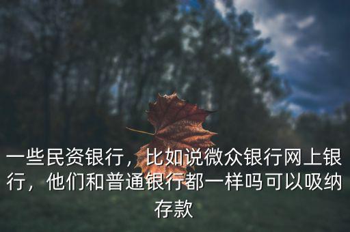 一些民資銀行，比如說(shuō)微眾銀行網(wǎng)上銀行，他們和普通銀行都一樣嗎可以吸納存款