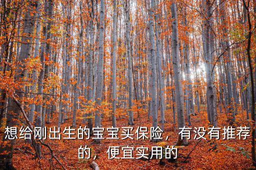 想給剛出生的寶寶買保險，有沒有推薦的，便宜實用的