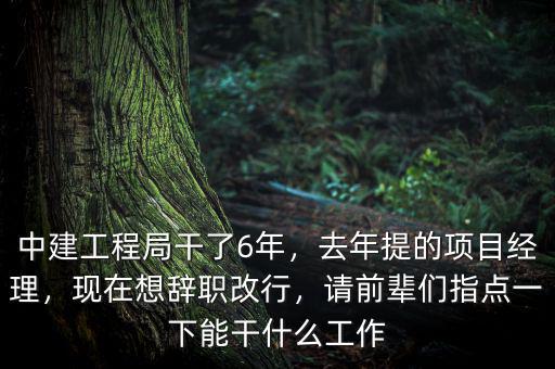 中建工程局干了6年，去年提的項目經(jīng)理，現(xiàn)在想辭職改行，請前輩們指點一下能干什么工作