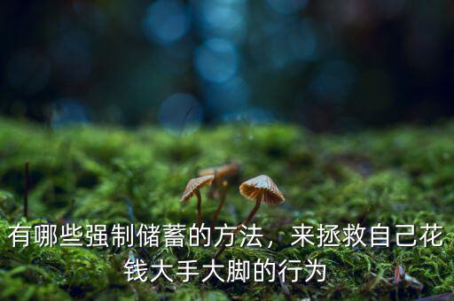 有哪些強(qiáng)制儲(chǔ)蓄的方法，來(lái)拯救自己花錢(qián)大手大腳的行為