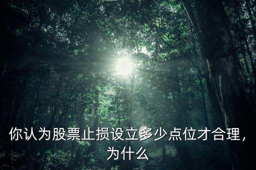 你認為股票止損設(shè)立多少點位才合理，為什么